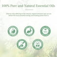 thumbnail image 5 of PHATOIL 100ML Cypress Essential Oil, Therapeutic Grade, 100% Pure and Natural, Perfect for Skin Care and Massage, 5 of 8