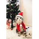 thumbnail image 5 of Disfraz navideño para mascota, gorro navideño para perro y capa de Papá Noel, conjunto para cachorro, disfraz navideño, 5 of 5