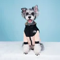 thumbnail image 3 of Ropa para mascotas, abrigo grande de invierno de marca de moda, abrigo abrigado, chaqueta polar de plumón de dos colores a prueba de viento para perros grandes, pequeños y medianos, 3 of 5