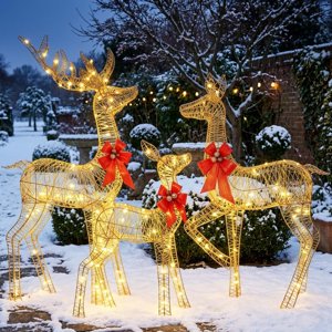 3-Piece Lighted Christmas Deer Family Outdoor LED Reindeer Set