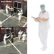 thumbnail image 3 of Modelo de Doctor Yotijar 1/64 Ornamento de Personas Paisaje 3 Piezas Resina, 3 of 10