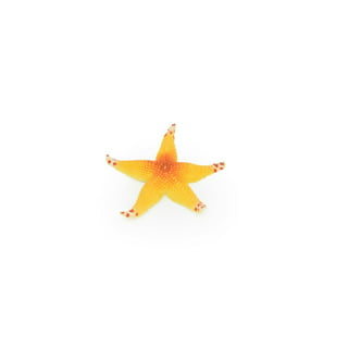  Safari Ltd. Starfish Figurine - Vibrant 4.5 Sea Star Figure -  Educational Toy for Boys, Girls, and Kids Ages 3+ : Toys & Games