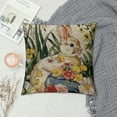 thumbnail image 2 of Nawypu Happy Easter Pillow Covers Farmhouse Welcome Easter Egg Rabbit Decorative Easter Pillow Cases Spring Outdoor Watercolor Throw Pillow Covers for Sofa Couch Home Bench Decoration, 2 of 5