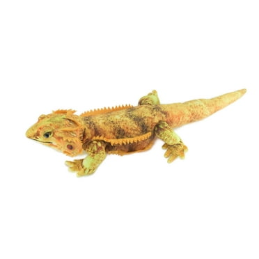 Horned Lizard, Horny Toad, Bearded Dragon, Very Nice Plush Lizard, Stuffed Reptile, Educational, Realistic Figure, Lifelike, Gift, 23" WR16 BB314