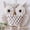 A, variant on Owl Ivory Cotton, Handmade Macrame, Beigie Wall Hanging Tapestry, Home Decor, Woven Boho Ornament, Bedroom Apartment Living Room Nursery, Ivory Cotton Owl Macrame Wall Hanging