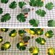 thumbnail image 3 of Guirnalda de luces LED 2m Hojas Decoración Luces 10 Guirnaldas de luces LED con hojas verdes, 3 of 4