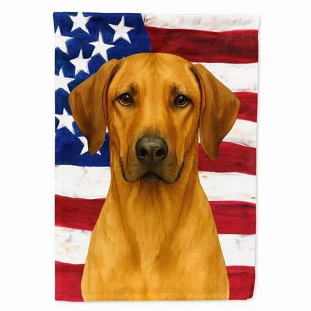 Carolines Treasures WDK6193CHF 40 x 28 in. Rhodesian Ridgeback American Flag House Flag