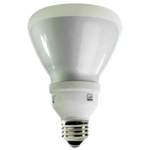 Flood Light Bulbs 2700K Soft White TCP 65 Watt CFL R30 4 Pack 