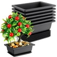thumbnail image 1 of Maceta para bonsái, paquete de 6 macetas rectangulares de entrenamiento para bonsái con bandejas para plantas en macetas, maceta de plástico para bonsái, sala de estar, oficina, jardín, 1 of 5
