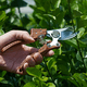thumbnail image 5 of Tijeras de jardín, resistentes a la oxidación, diseño cómodo que ahorra trabajo para plantas de interior y exterior, hoja cromada dura con bloqueo de seguridad, podadoras de jardín portátiles que, 5 of 5