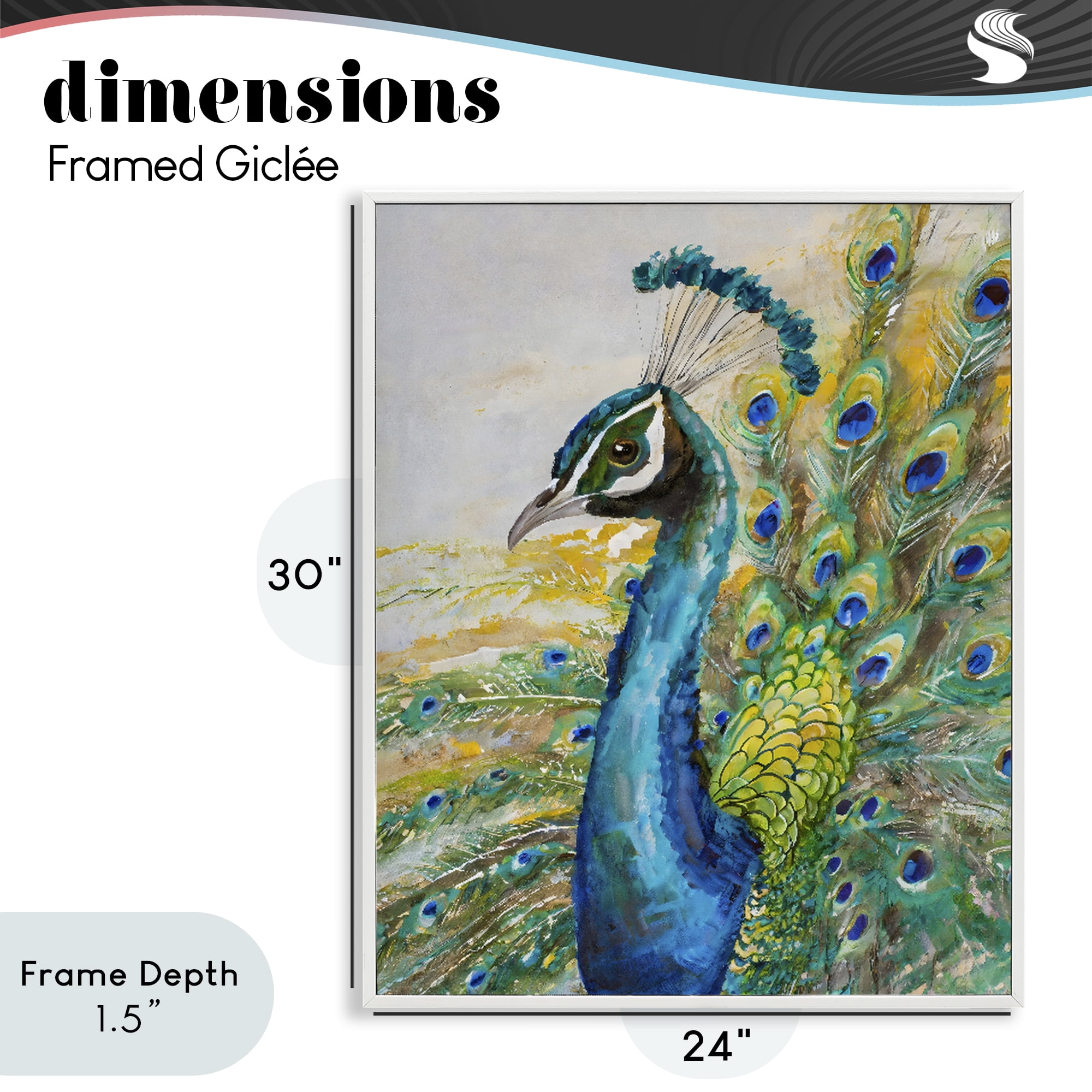 Stupell Industries Regal Blue Peacock Feathers White Framed Giclee Art, design by Creative Studio