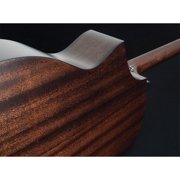 Forte Exotic Zebra Acoustic Electric Guitar