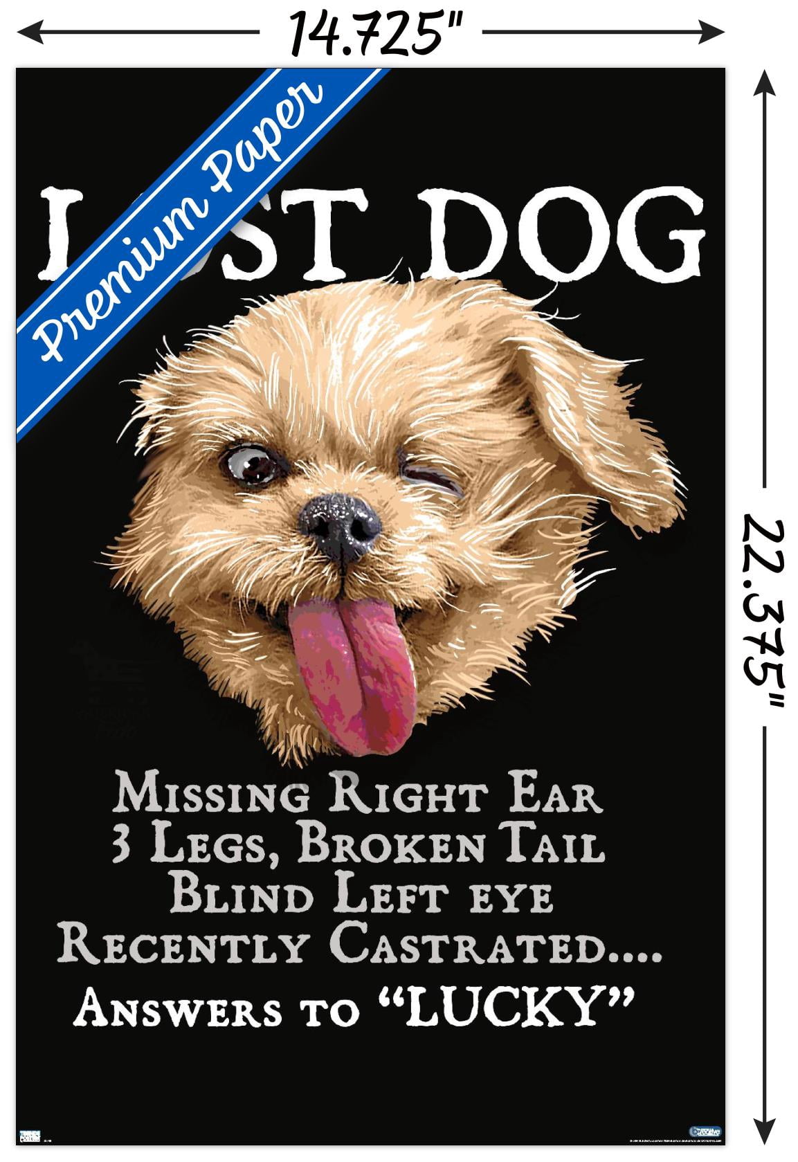 Jim Baldwin - Lost Dog Wall Poster, 14.725" x 22.375"