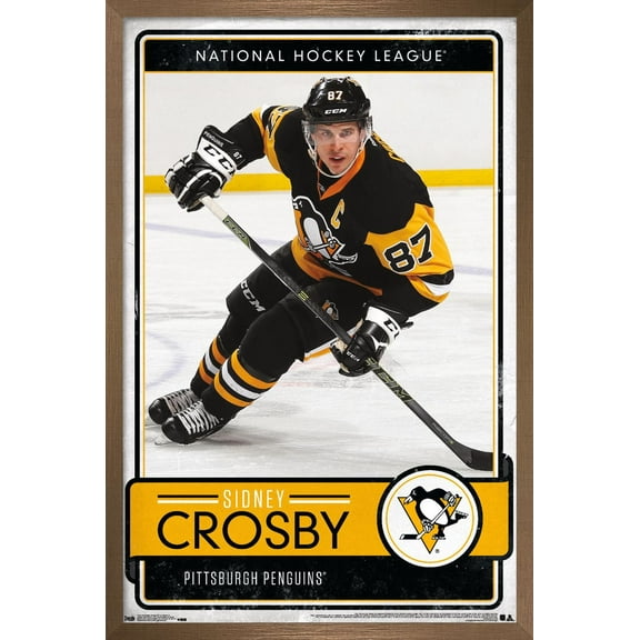 NHL Pittsburgh Penguins - Sidney Crosby 16 Wall Poster, 14.725" x 22.375", Framed