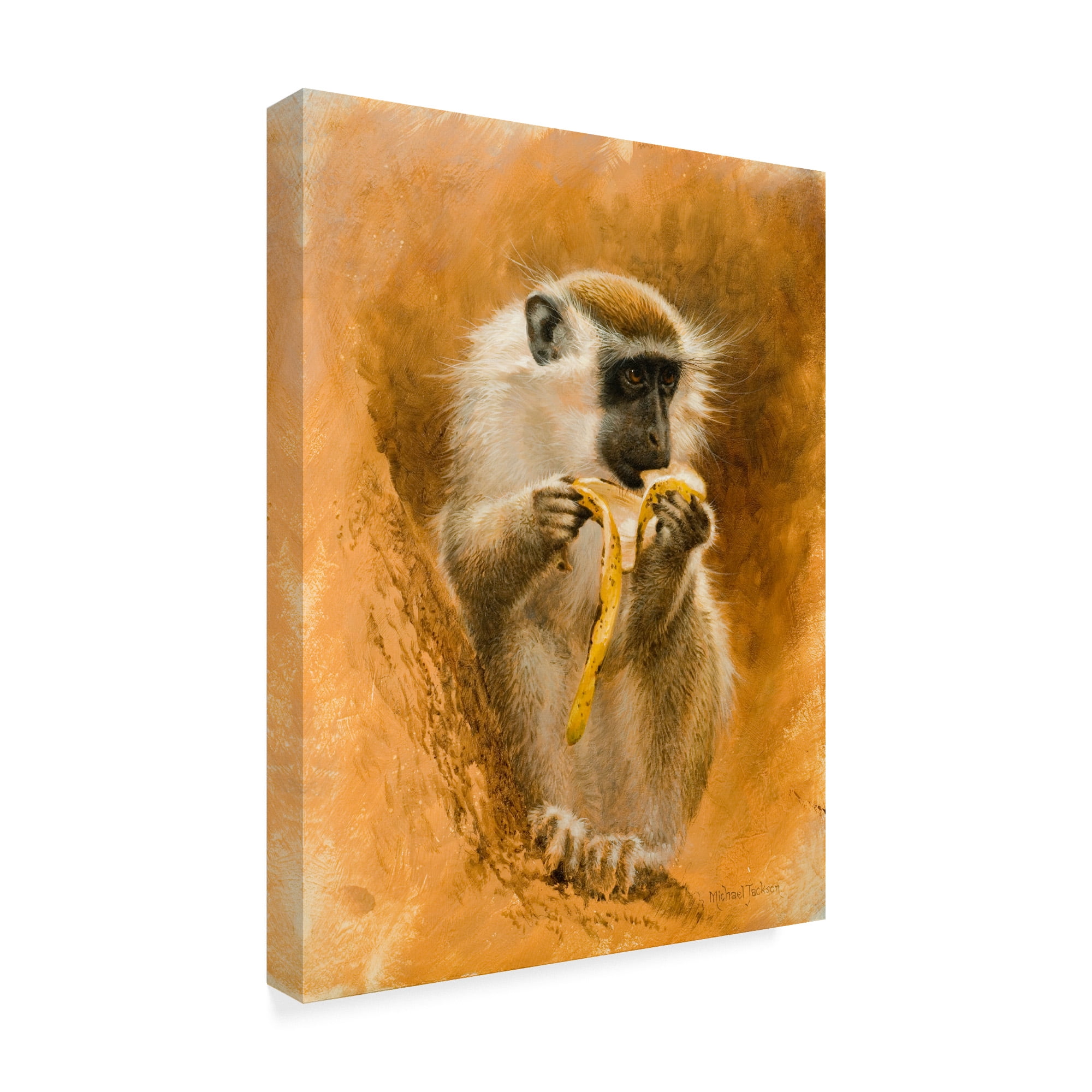 Free Shipping! Trademark Fine Art Green Monkey Canvas Art by