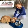 thumbnail image 4 of Dress you go Tilted Food Water Bowl for French Bulldog and Cats, Easier to Access Food, 4 of 5