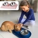 thumbnail image 4 of Laklulu Dress you go Cuenco de agua inclinado para bulldog francés y gatos, más fácil de acceder a los alimentos, 4 of 5