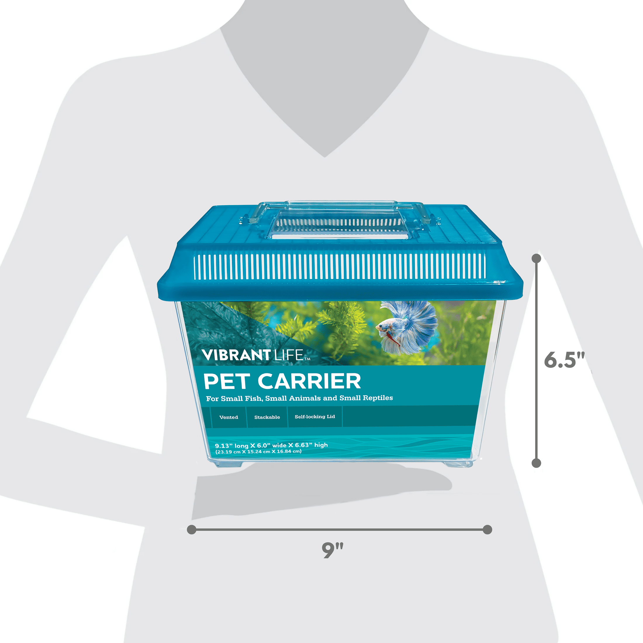 Vibrant Life Small Pet Carrier