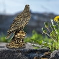 thumbnail image 2 of Gonnely Simulation Eagle -Simulation Eagle Decor Artificial Resin Animal Model Home Garden Decoration Ornament Gift, 2 of 8