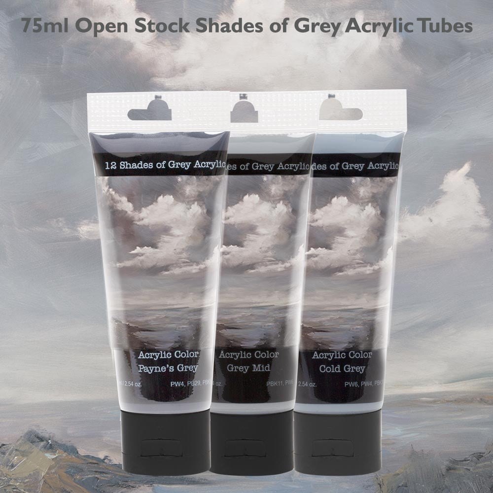 12 Shades Of Grey Acrylic Paint Colors - Brown Grey 75ml (2.5 oz.), Highly Pigmented Grey Acrylic Colors for Painting & Crafts