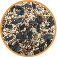 Pennington Southwest Blend Wild Bird Food, 40 lbs., 1 Pack, Dry