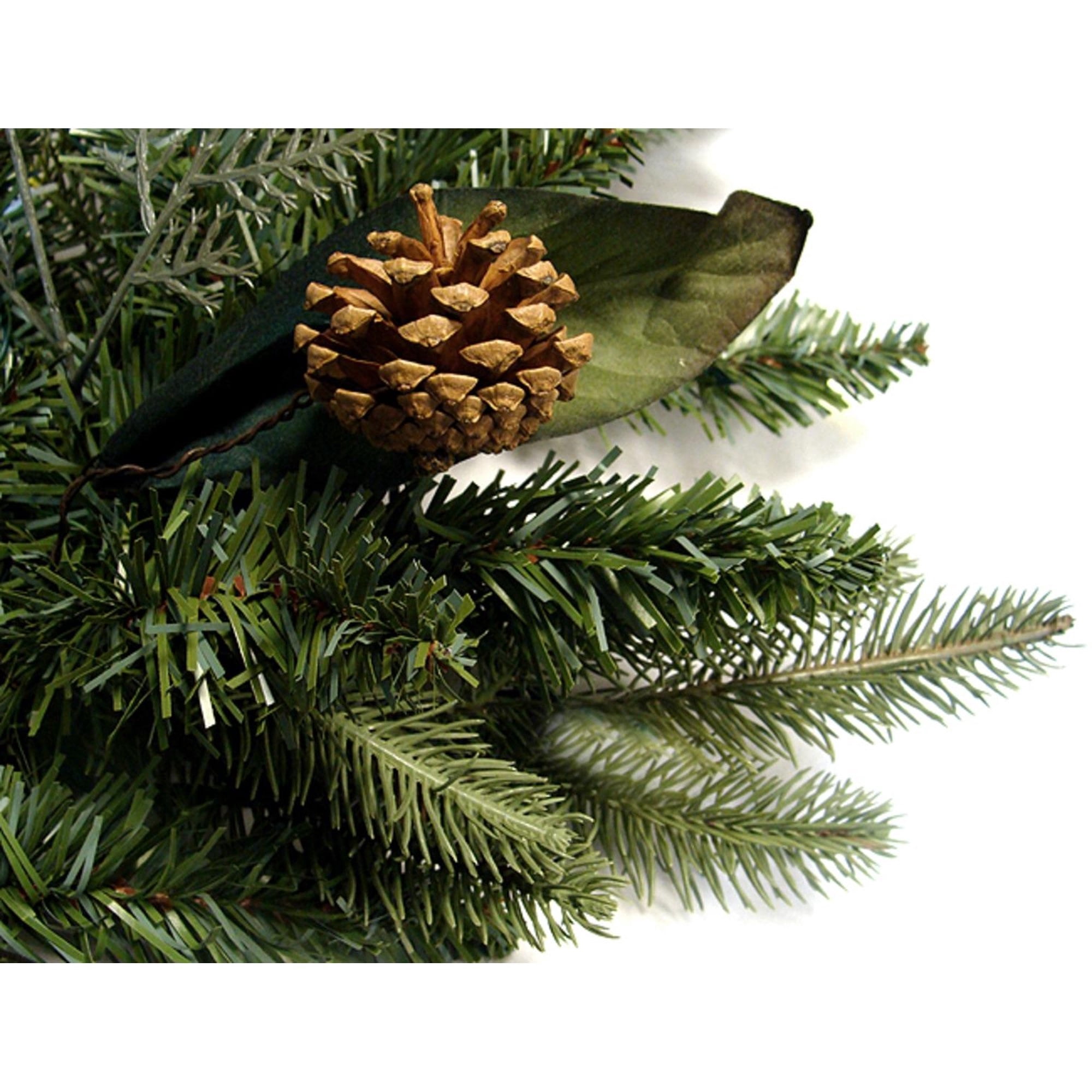 Northlight Pre-Lit Green River Spruce Artificial Christmas Wreath - 24" - Clear Lights