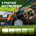thumbnail image 3 of Litheli 20V Cordless Electric Lawn Mower, 13-Inch, 5-Position Height Adjustment, Lightweight, with 2 x 2.0Ah Batteries, for Lawns & Gardens, 3 of 9