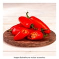 thumbnail image 1 of Chile jalapeño rojo, 1 of 4
