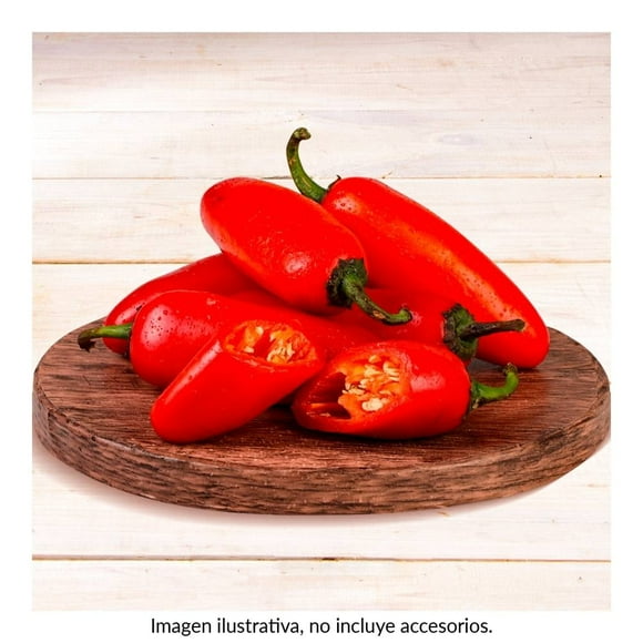 Chile jalapeño rojo