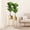 TYPE 2, variant on Efavormart 2 Pack | 3.2ft Indoor Faux Fiddle Leaf Fig Tree Planter With Pot, Artificial Plant Decor