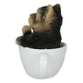 thumbnail image 6 of Realistic Mini Yorkie Teacup Statue 3" Pet Pal Yorkshire Terrier Dog Figurine, 6 of 9