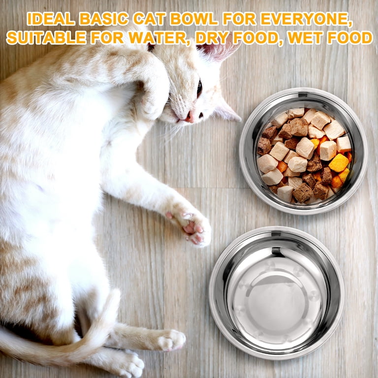 Qweryboo Stainless Steel Cat Bowls, 6-Pack with Spoon photo 5