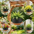 2 Pack 10 Inch Self Watering Hanging Planters for Indoor Outdoor Plants ...