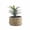 #605-Multicolor, variant on Creatitoy Artificial Potted Greenery For Indoor Outdoor Decoration - 11.81 in Height Sturdy Plastic Agave Fake Plant for Home Office Balcony Desktop Garden Decor