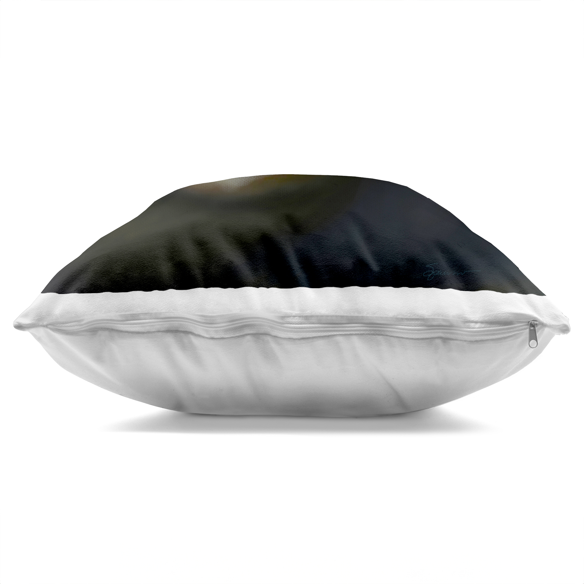 Stupell Industries Swirled Seashell Sea Treasure Decorative Printed Throw Pillow, design by Mary Sparrow