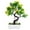 Yellow, variant on Cheers US Artificial Plants Artificial Bonsai Tree Potted Faux Japanese Pine Bonsai Simulation Zen Garden Fake Plant Artificial Bonsai Tree for Home Office Showcase Indoor Décor Desktop Display