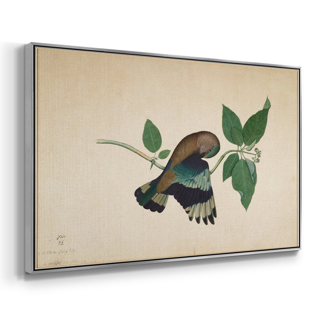 Vintage Animal Print-XXII By Wexford Home Framed in Silver Wood Gallery Wrapped Canvas 17 in. x 25 in.
