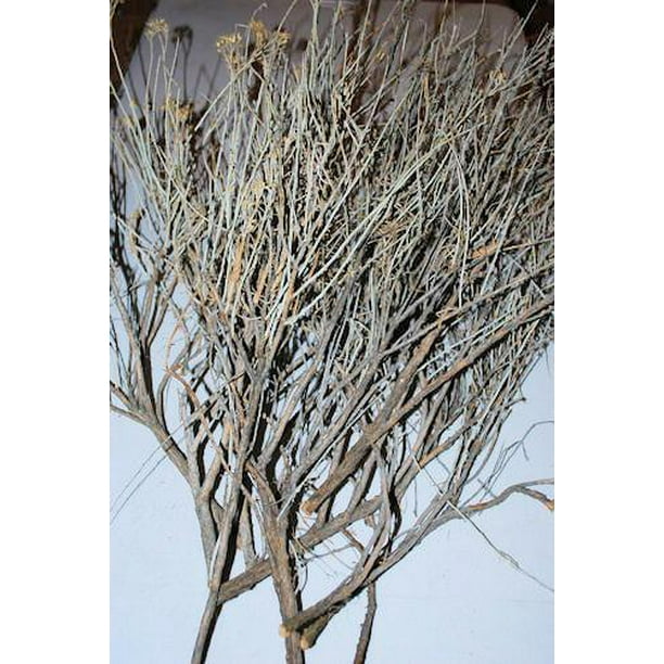 Dried Natural Sagebrush Branches Plant Large 1218in.