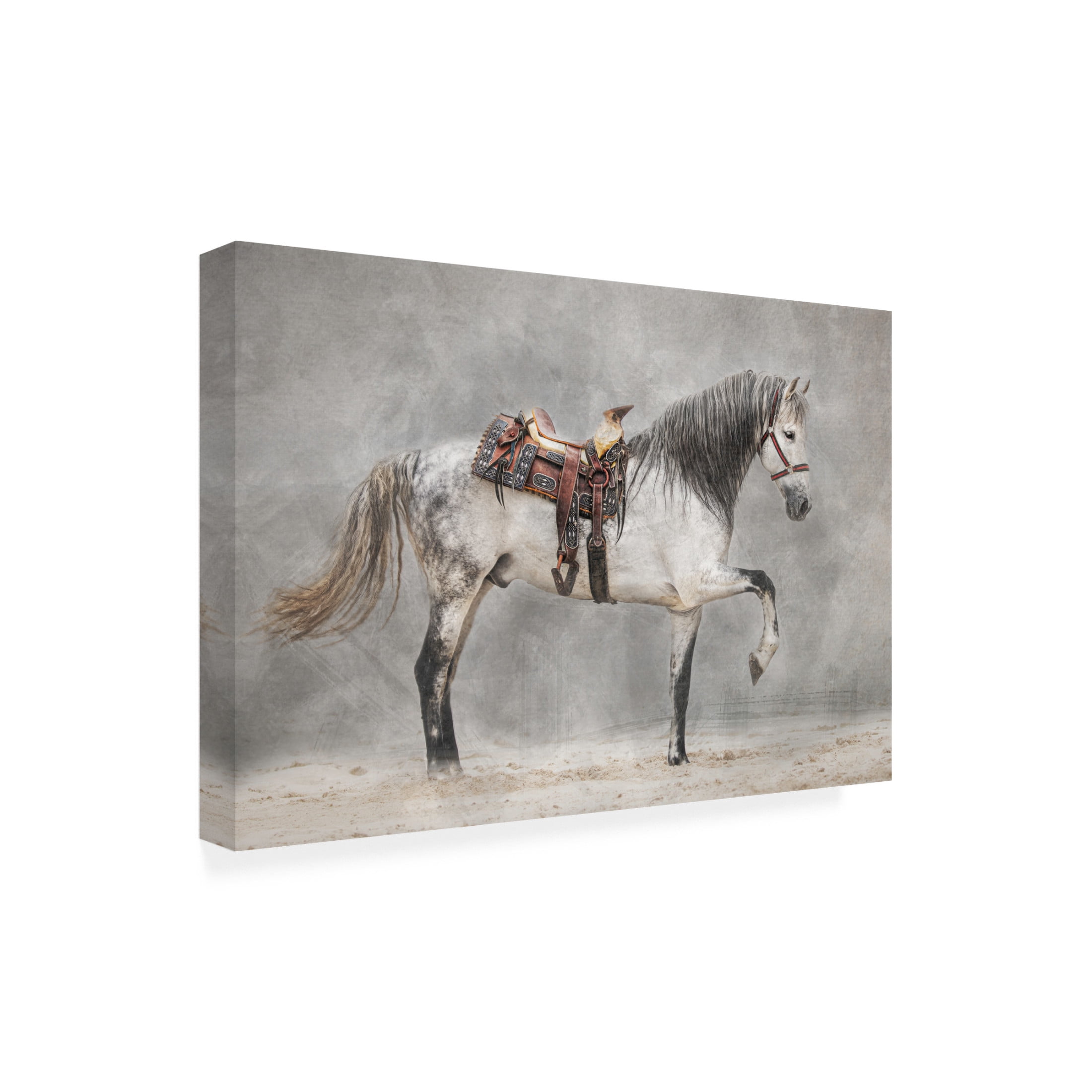 Canvas Wall Art - Delphine Devos 'Strike A Pose' Wall Art for Living Room, Bedroom, or Office Décor by Trademark Fine Art - 47 x 30 Inches