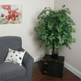 thumbnail image 2 of Vickerman 4' Artificial Ming Aralia Extra Full in Black Pot, 2 of 3