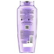 (6 pack) L'Oreal Paris Elvive Hyaluron Plump Hydrating Shampoo, 72H Intense Moisture, Squeeze, 13.5 fl oz