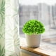 thumbnail image 4 of Plantas de césped artificial en maceta - 4" de vegetación artificial interior para decorar la oficina en casa, set de 3 pequeñas suculentas de plástico, 4 of 5