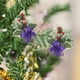 thumbnail image 5 of Navidad Pinos Redos Frutas Flores Árboles Pendientes Props Decoración Bocas Artesanía, Pinos Redos Frutas, Pendants Navideños, Accesorios de Fiesta, para Decoración de Hogar, Plegables,, 5 of 9
