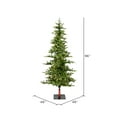 thumbnail image 3 of Vickerman 8' Shawnee Fir Artificial Christmas Tree, Warm White LED Dura-lit Lights, 3 of 4