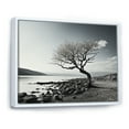 thumbnail image 2 of Designart "Stunning Monochrome Lake Tree" Lake Floater Framed Wall Art Prints, 2 of 5