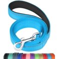 thumbnail image 1 of FunTags 4FT Reflective Dog Leash with Soft Padded Handle for Training,Walking Lead for Medium & Small Dogs,3/4 Inch Wide,SkyBlue, 1 of 7