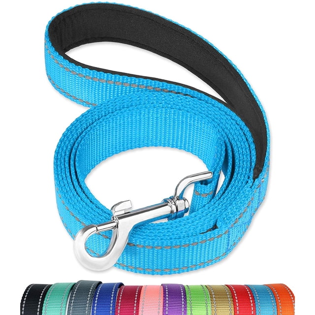 FunTags 4FT Reflective Dog Leash with Soft Padded Handle for Training,Walking Lead for Medium & Small Dogs,3/4 Inch Wide,SkyBlue