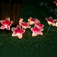 thumbnail image 5 of LusLog-pro Pink Flower String Lights, Romantic Aesthetic Fairy Lights for Bedroom Decor, 30 LED 10ft Battery Operated, Ideal for Summer Luau Party, Wedding, Kids Room Accent Lighting, 5 of 6