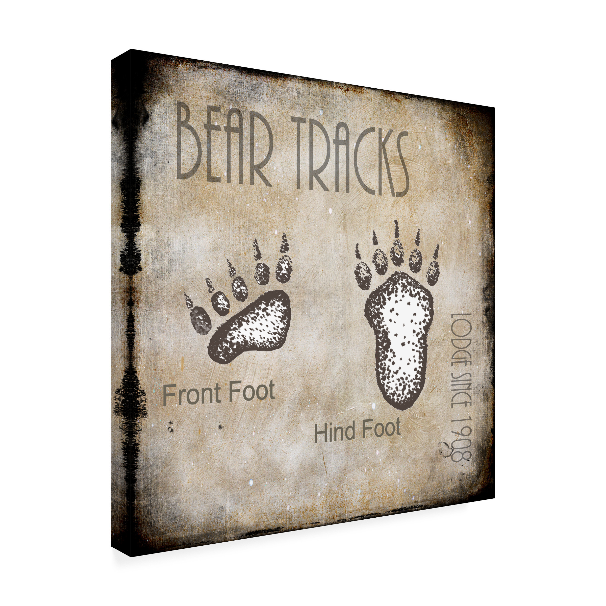LightBoxJournal 'Moose Lodge 2 - Bear Tracks 2' Canvas Art