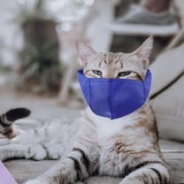 PBPBOX Breathable Cat Muzzle Bite Mouth Cover For Grooming Bathing Prevents Biting Licking Pet Accessory For Cats